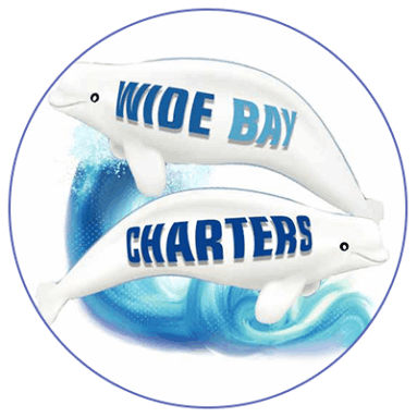 wide bay bus charters